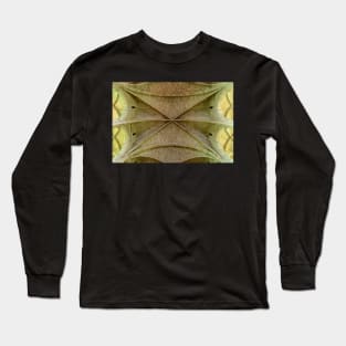 Vaulted Ceiling Long Sleeve T-Shirt